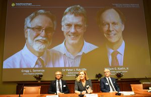 2019 Nobel Tıp Ödülü’nü kazananlar açıklandı