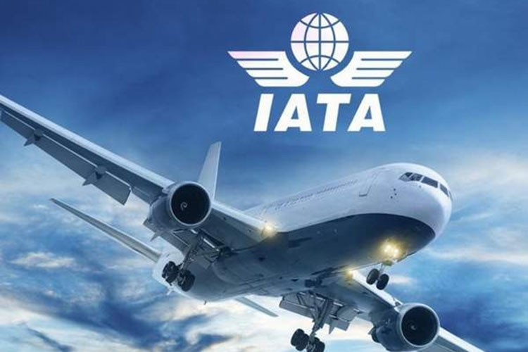 IATA, HAVA YOLU ŞİRKETLERİNİN 2025 KAR BEKLENTİSİNİ DÜŞÜRDÜ